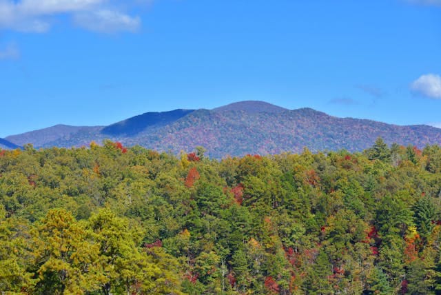 10 Must-See Places to Visit in Gatlinburg