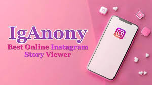 How to Use IgAnony Without Violating Instagram's Terms of Service