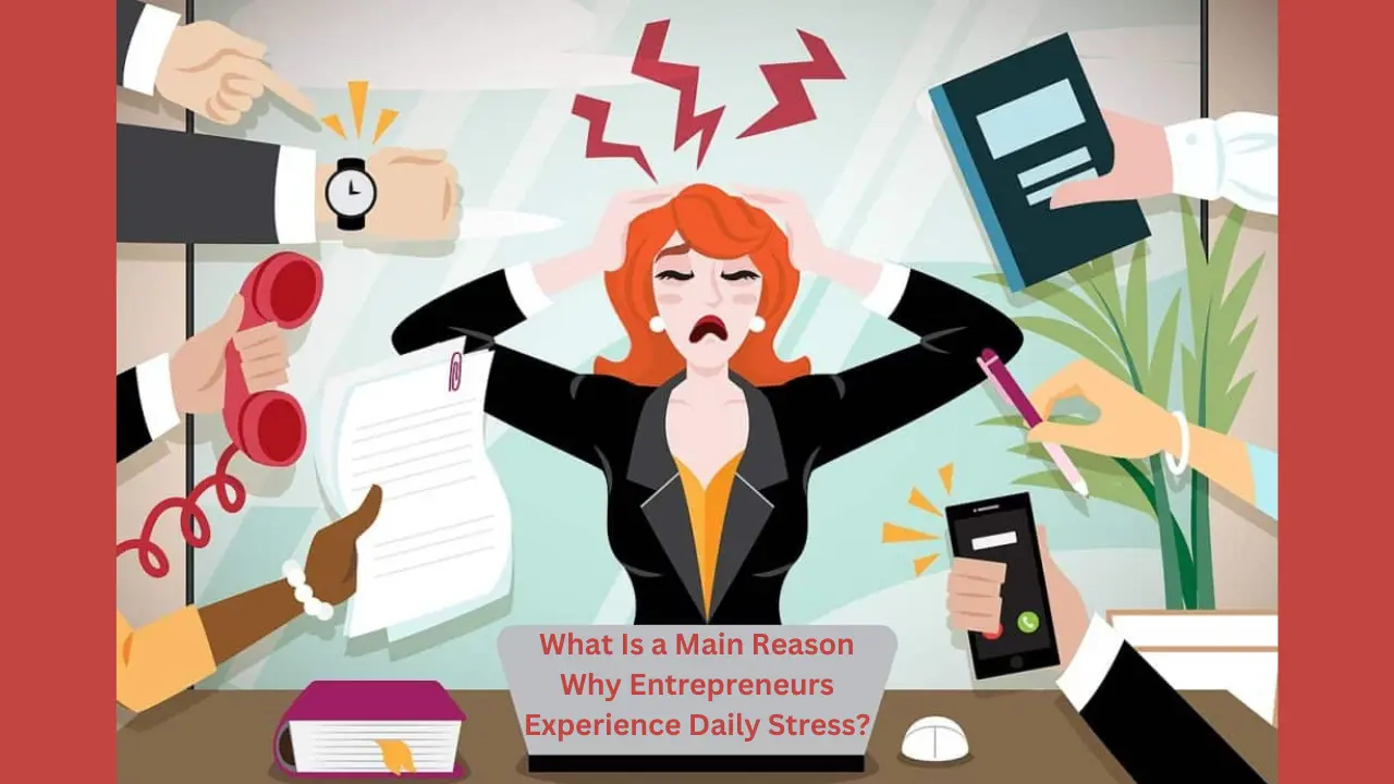 What Is a Main Reason Why Entrepreneurs Experience Daily Stress?